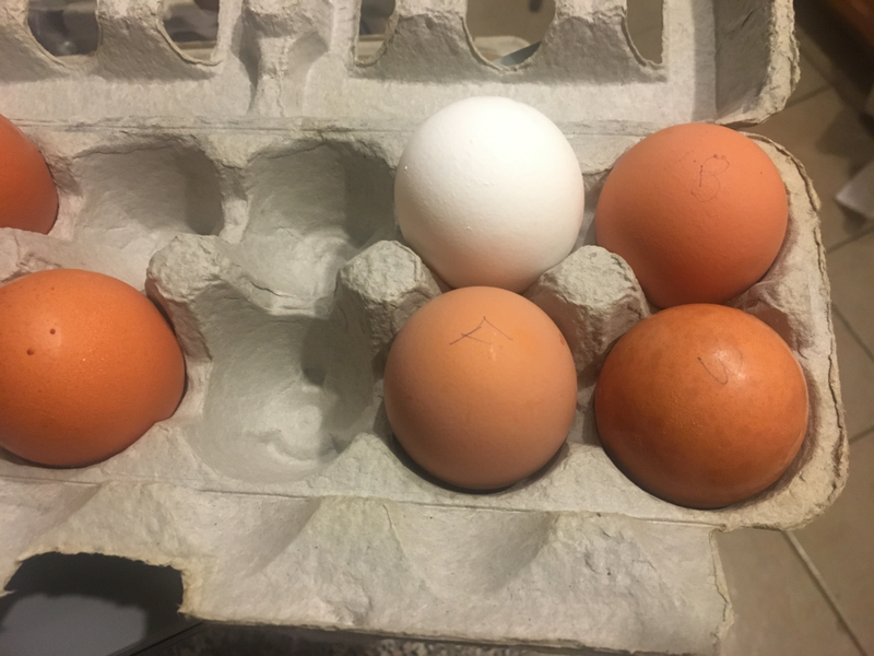 F for farmer’s market, W for weeks’ old, B for brown, blank white egg for blank white egg